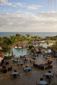 Confresi Palm Beach & Spa Resort - Dining